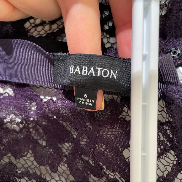 Aritzia Babaton - Tobias Lace Dress (6) - Picture 4 of 4